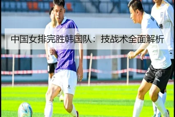 中国女排完胜韩国队：技战术全面解析